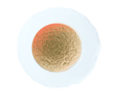 cell decor 1