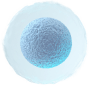 cell decor 3