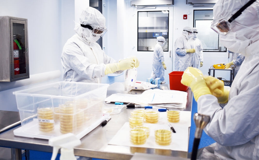 6 employees testing products