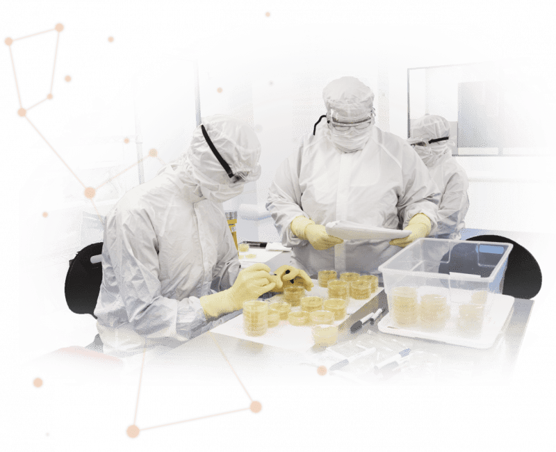 Lykan Bioscience quality team.