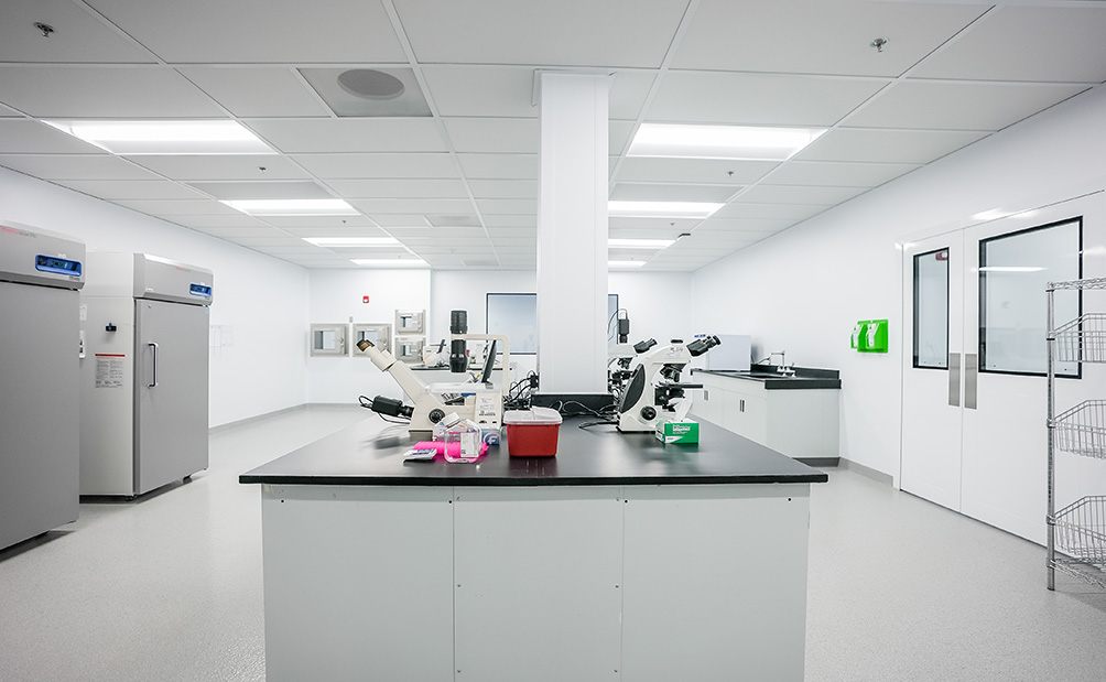 lykan cell therapy headquarters