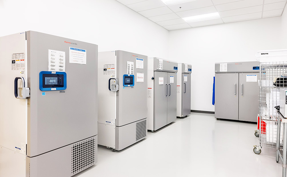 storage room for cell therapy
