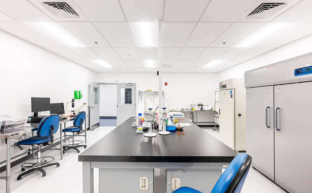 lykan cell therapy lab 4