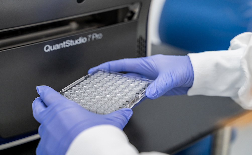 Cell therapy quality control materials being held in gloved hands.