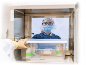 Lykan professional wearing blue mask